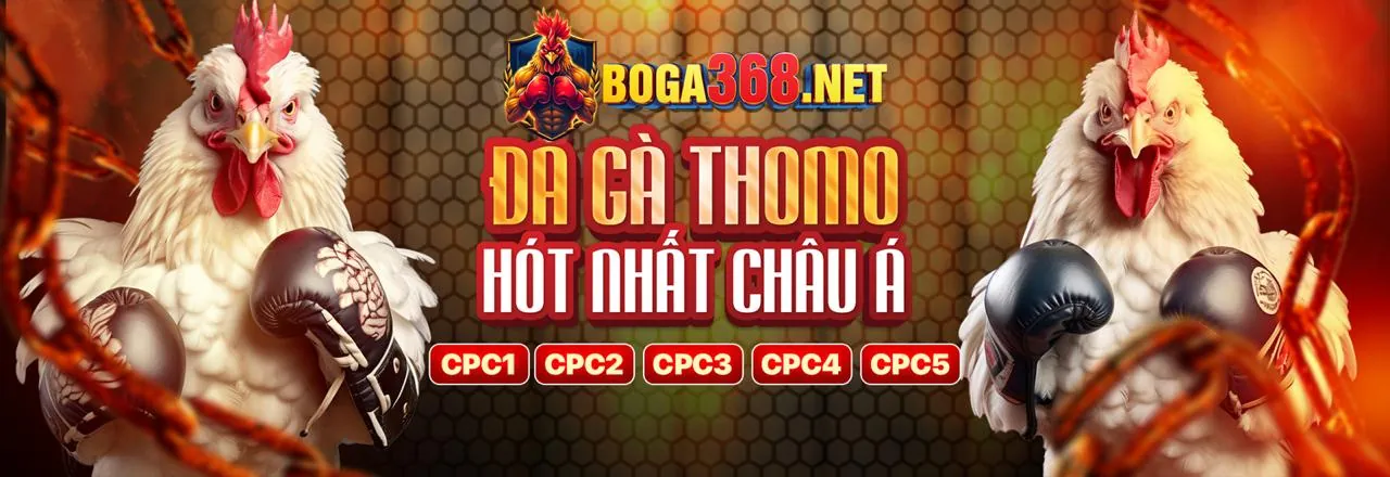 Hình ảnh bàn chơi casino với các chiến lược nâng cao