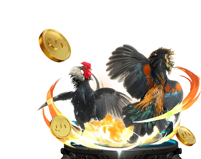 Đá gà trực tuyến Fabet